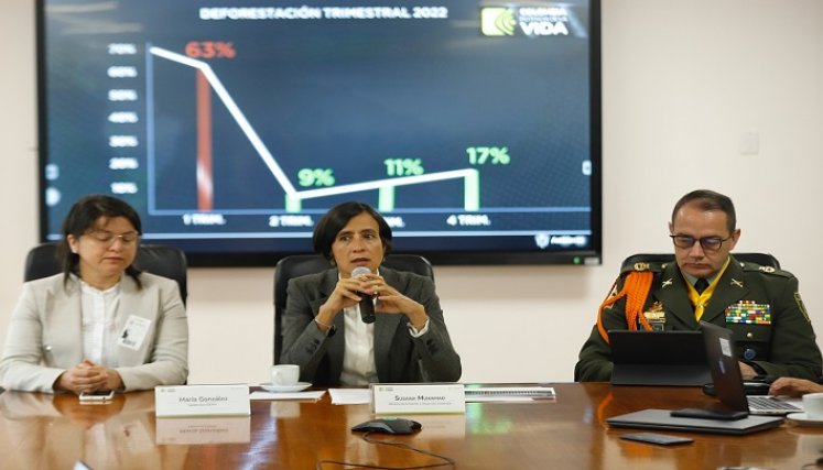 Gobierno informó reducción de la deforestación en Colombia