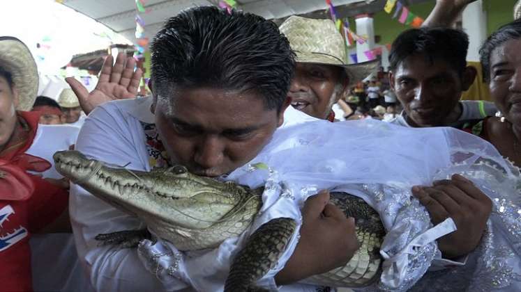 Matrimonio-con-caimán. / Foto: AFP