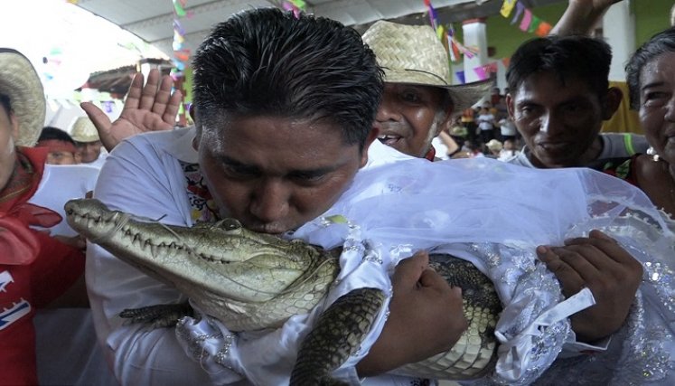 Matrimonio-con-caimán. / Foto: AFP