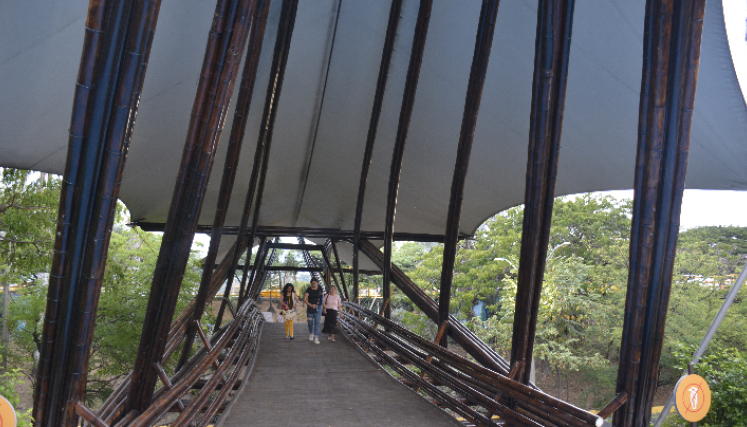 Puente de Guadua nuevo