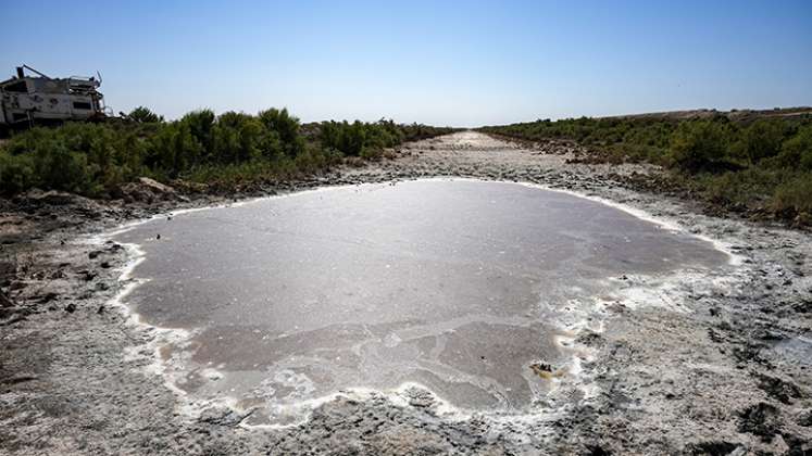 Temperatura en la tierra