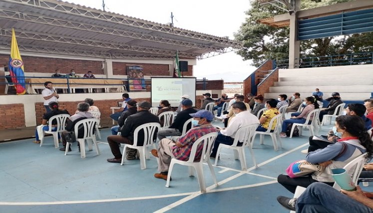 Las víctimas del conflicto armado de la zona del Catatumbo tienen la oportunidad de acceder a la educación superior a través de becas.
