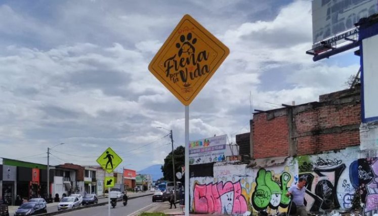 campaña de prevención vial animalista