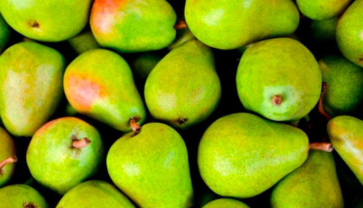 fruta