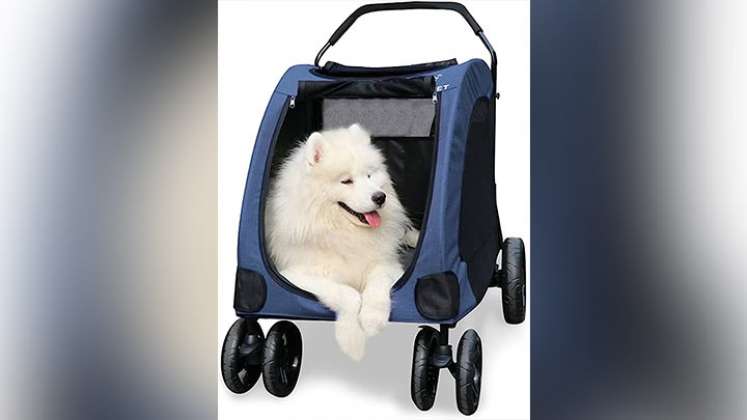 Una de las grandes novedades en el mercado son los coches para pasear a las mascotas.