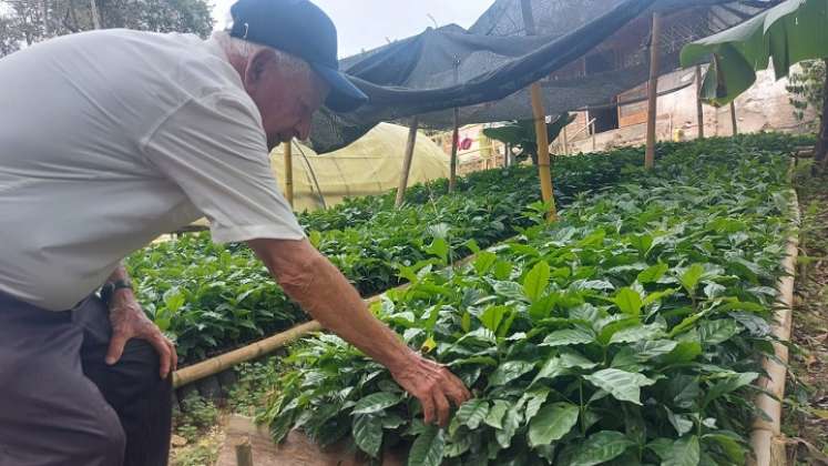 La acción ha sido recibida con gratitud por parte de la comunidad. Les entregaron 15 mil plántulas para mujeres productoras/Fotos Cortesía