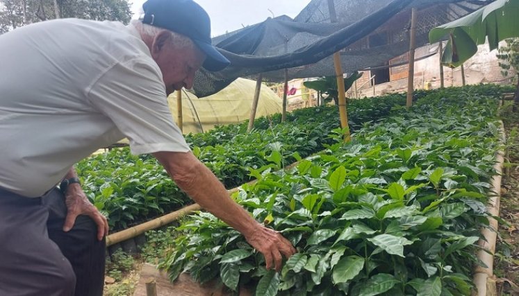 La acción ha sido recibida con gratitud por parte de la comunidad. Les entregaron 15 mil plántulas para mujeres productoras/Fotos Cortesía