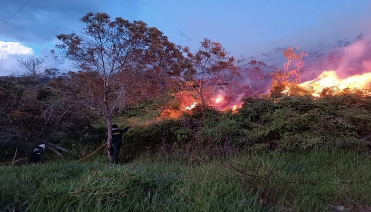 Encendidas se encuentran las alarmas por los incendios forestales en la provincia de Ocaña. /Foto: Cortesía.