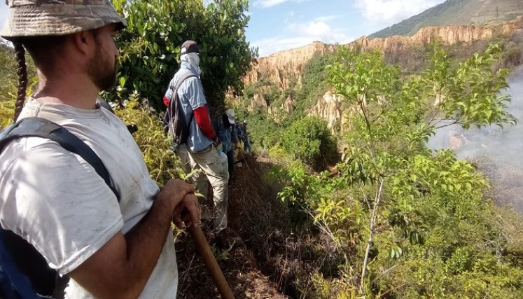 Encendidas se encuentran las alarmas por los incendios forestales en la provincia de Ocaña. /Foto: Cortesía.