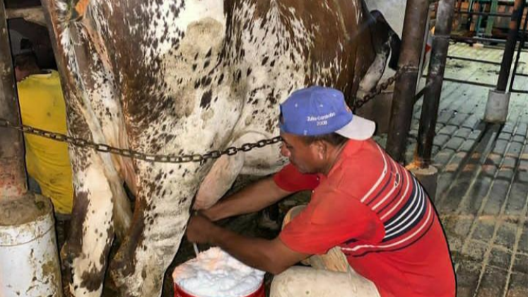 Producción de leche en Táchira