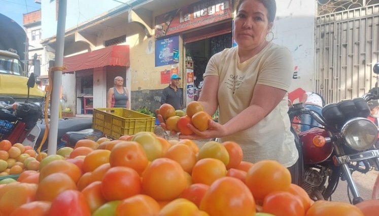 La falta de planeación estratégica y políticas certeras de comercialización de la pulpa llevaron al traste la planta procesadora.