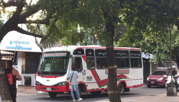Moscos transporte público