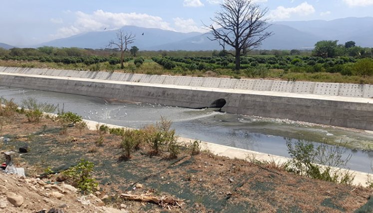 Apareció muerto en Caño Picho de Cúcuta con un tiro en la cabeza