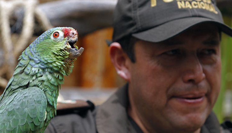 Narco zoológico en Ecuador