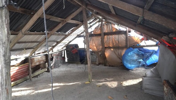 Entre 1.500 y 5.000 dólares pagan migrantes por ruta VIP de San Andrés: Procuraduría