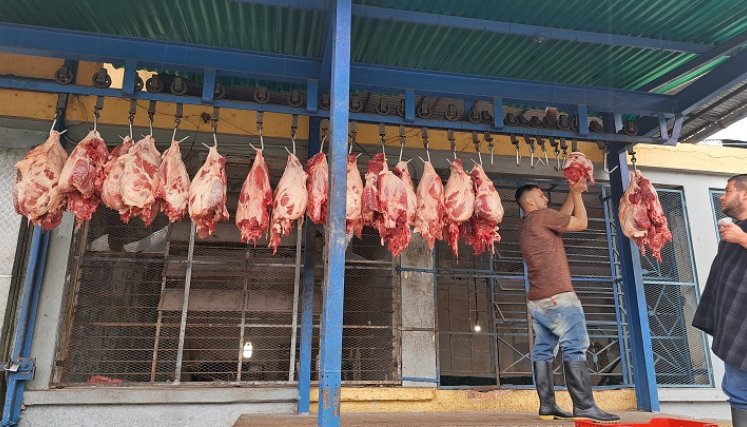 El sector reporta que está produciendo a pérdidas