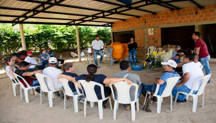 Una alternativa para la transformación de las costumbres agrícolas se implementa a través de las bio fábricas en la zona del Catatumbo.