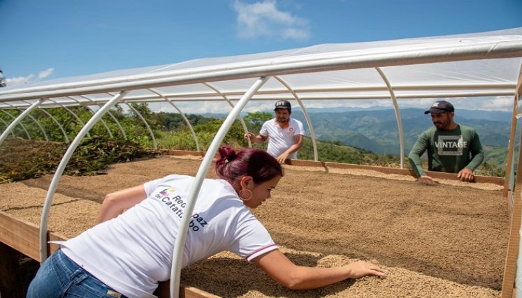 Una alternativa para la transformación de las costumbres agrícolas se implementa a través de las bio fábricas en la zona del Catatumbo.