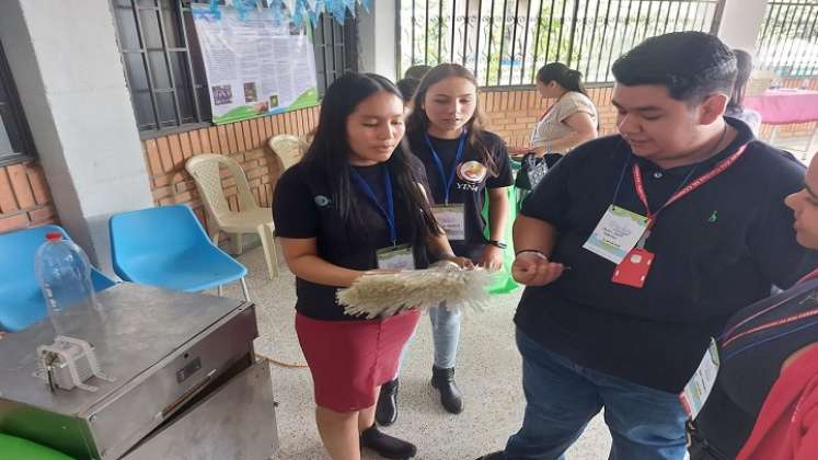 Niños campesinos elaboran las escobas con envases plásticos para, además, erradicar los mosquitos del dengue./ Fotos Cortesía