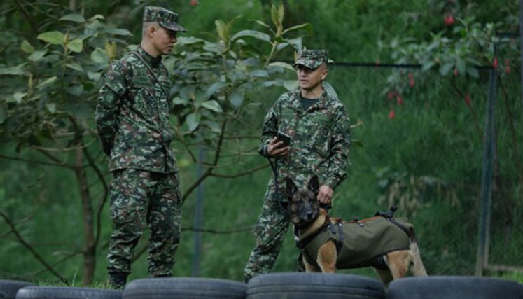 Ejército Nacional. 