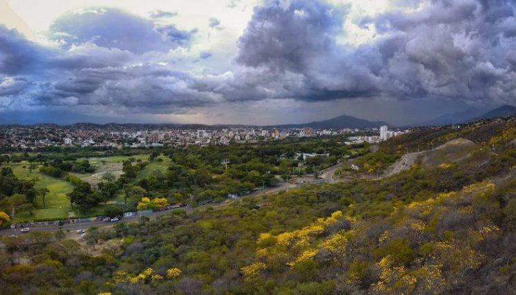 Bosque seco tropical, presente en los cerros que atraviesan Cúcuta/Foto archivo/La Opinión