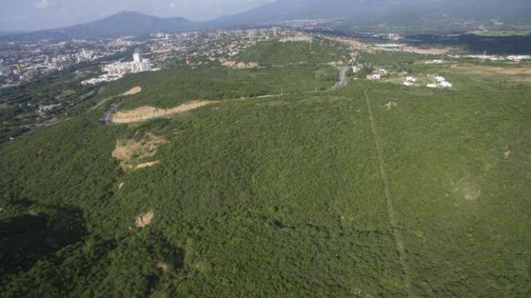 Bosque seco tropical, presente en Cúcuta en el predio donde Constructora Amarilo proyecta construir apartamentos/Foto archivo/La Opinión