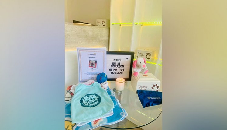 El servicio de un plan exequial para mascotas, varía según lo que desea hacer el doliente. 