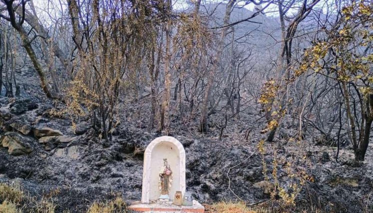 Altar de la Virgen del Carmen en Pamplona 