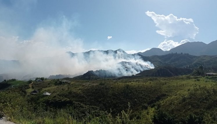 Las altas temperaturas empiezan a preocupar en la provincia de Ocaña por la aparición de incendios forestales./ Foto: Cortesía