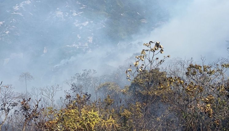 Preocupación existe entre las autoridades ambientales por la disminución del caudal del río Algodonal.