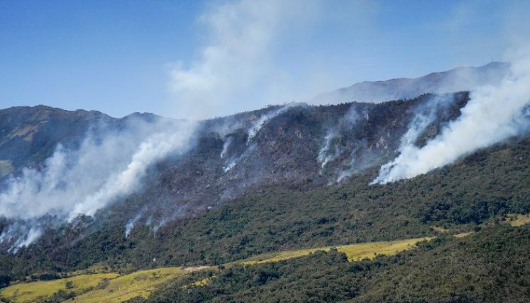 Según los habitantes de la vereda Fontibón son más de 300 hectáreas las que se quemaron. /Fotos: Cortesía