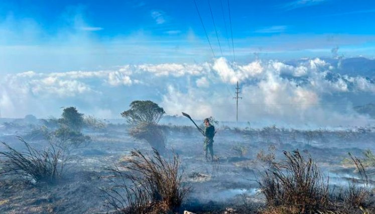 Incendio Santurbán. 