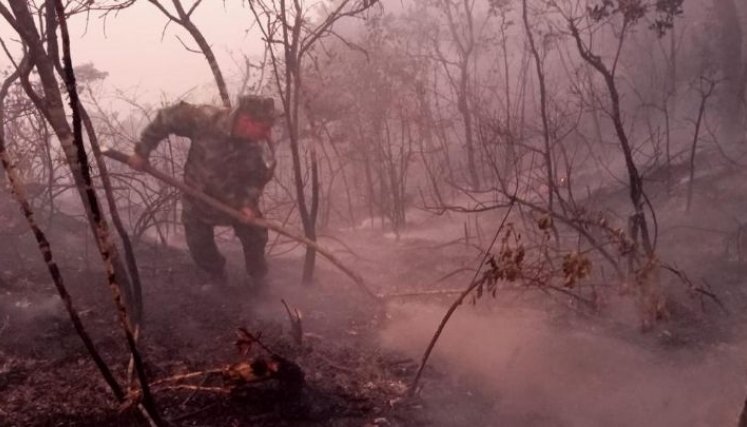 El Ejércitos y los organismos de socorro continúan controlando los incendios en diferentes zonas de Colombia.