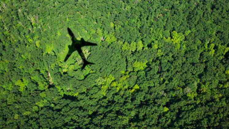 La alianza con Siemens, forma parte del programa 1+1 Compensar para Conservar de LATAM Airlines. / Foto: Cortesía