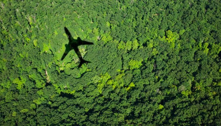 La alianza con Siemens, forma parte del programa 1+1 Compensar para Conservar de LATAM Airlines. / Foto: Cortesía