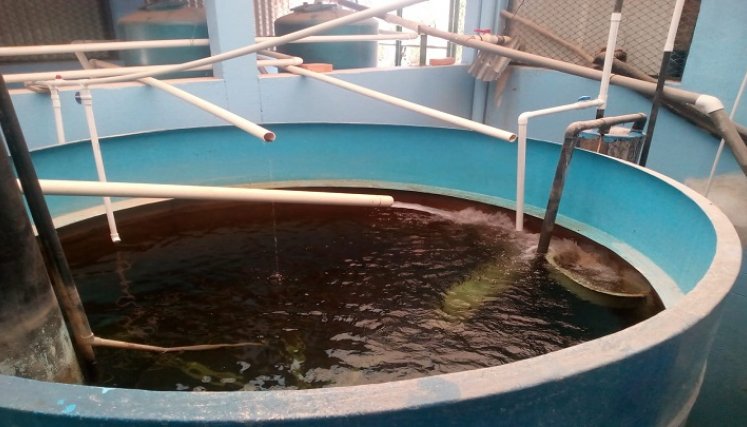La bocatoma que provee de agua potable a Ocaña se le hicieron trabajos de mantenimiento, por concepto de 80 millones de pesos. / Foto: Javier Sarabia.
