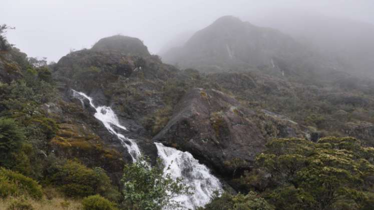 Propuestas ambientales para preservar los ecosistemas de Norte