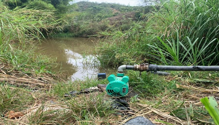 La crisis alimentaria en los campos de la zona del Catatumbo se puede mitigar con energías limpias./ Foto: Cortesía.