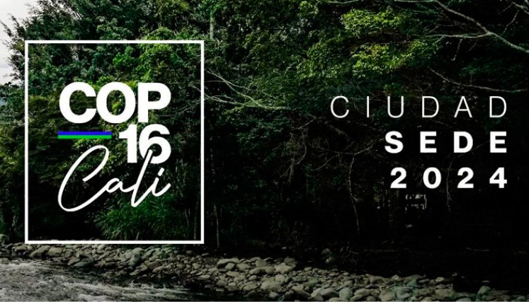 COP16 en Colombia 