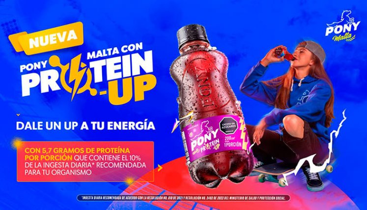 Pony Malta