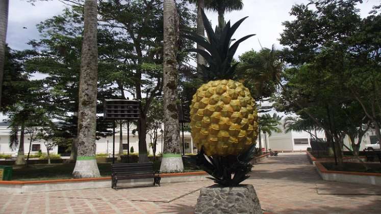 Para sembrar una hectárea de piña se requiere una inversión de $25 millones. / Fotos: Cortesía / La Opinión