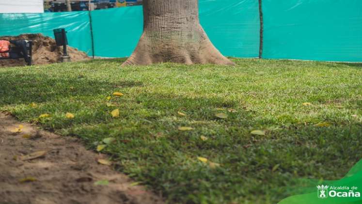 Trabajos de recuperación de las zonas verdes se adelantan en el parque principal de Ocaña./ Foto: Cortesía