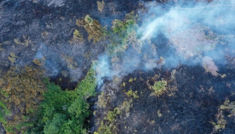 Un incendio forestal arrasó con abundante capa vegetal en zona de frontera entre Ocaña y La Playa de Belén./ Cortesía