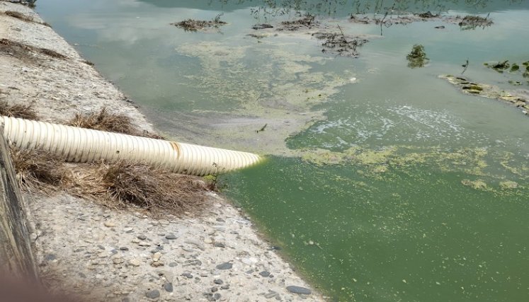 Es urgente la intervención de la laguna de oxidación para el tratamiento de aguas residuales en Ábrego./ Foto: Archivo