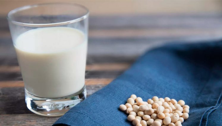 Bebidas Vegetales