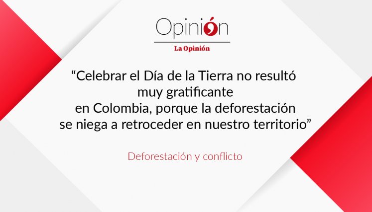 Deforestación y conflicto