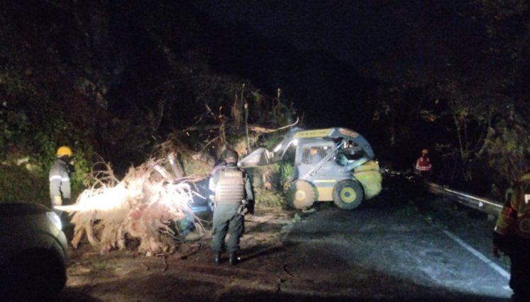 Accidente de tránsito 