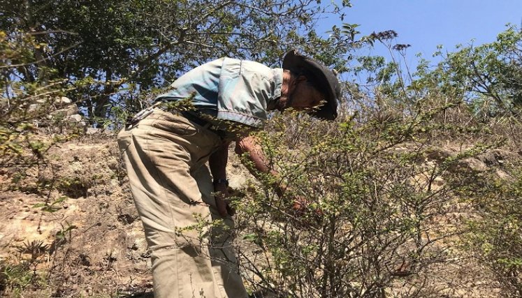 Campesinos reciben capacitación sobre finanzas agropecuarias para mejorar las condiciones de vida./ Foto cortesía