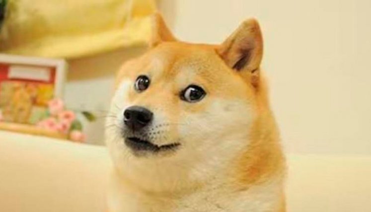 Kabosu