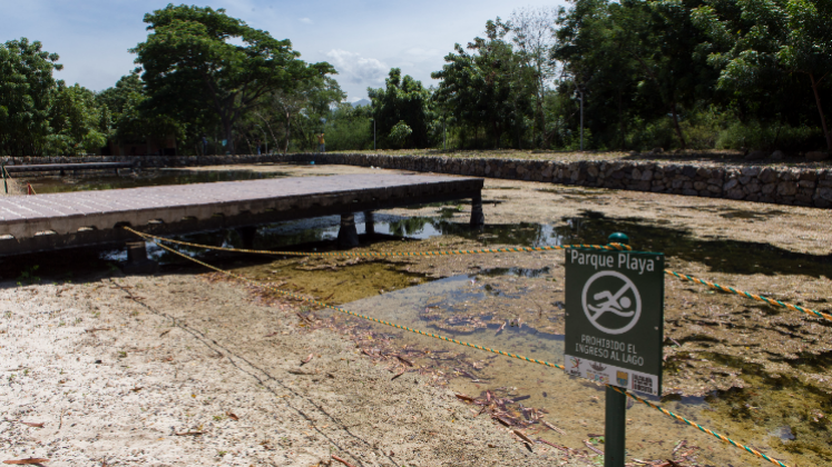 El lago artificial permanece constantemente cubierto de ‘lama’. Las comunidades piden un mejor cuidado